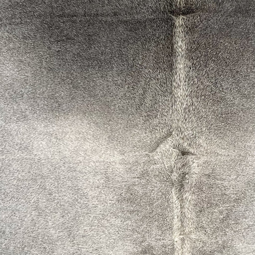 Closeup of this Colombian Cowhide, showing light gray, with dark gray on the shoulder (COGR319)
