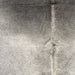 Closeup of this Colombian Cowhide, showing light gray, with dark gray on the shoulder (COGR319)