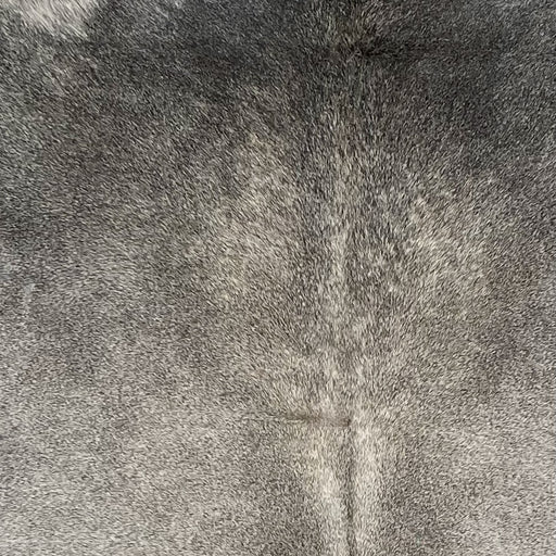 Closeup of this Large Colombian Cowhide, showing light gray and dark gray (COGR321)