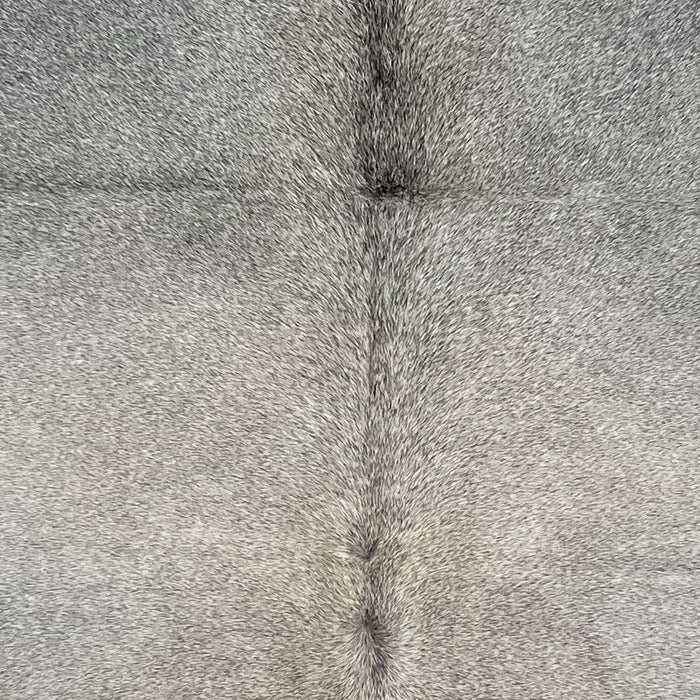 Closeup of this Colombian Cowhide, showing gray with longer hair down part of the spine (COGR322)