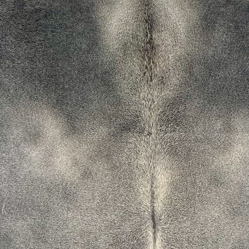 Closeup of this Colombian Cowhide, showing a mix of light gray and dark gray (COGR323)