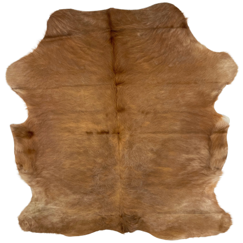 Solid Brown Colombian Cowhide, with some lighter brown on the shanks, belly, and neck - 6'2" x 4'11" (COSL204)