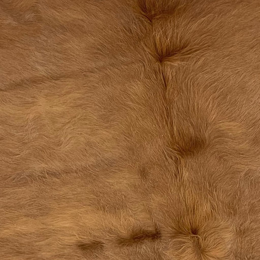Closeup of this Solid Brown Colombian Cowhide (COSL204)
