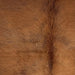 Closeup of this Colombian Cowhide, showing solid brown with longer hair down the spine (COSL264)