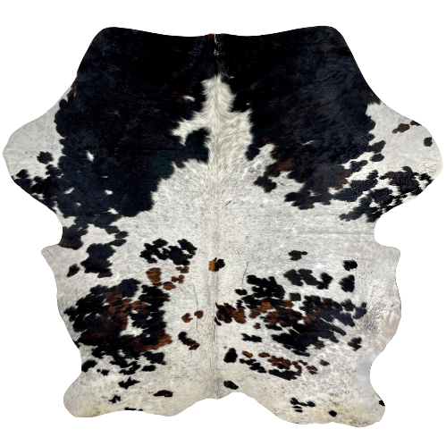 Tricolor Speckled Colombian Cowhide:  white with black speckles, and spots that are black and brown - 6'6" x 5'1" (COSP1941)