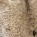Closeup of this Large, Brown, Speckled, Colombian Cowhide, showing a mix of light brown, dark brown, and beige, with fine, dark brown speckles (COSP1991)