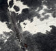Closeup of this Large, Speckled, Colombian Cowhide, showing white with black speckles, and black spots that have fine, white speckles (COSP2078)
