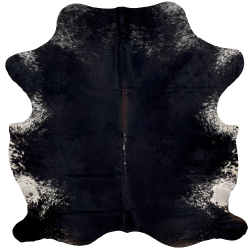 Black and White Speckled Colombian Cowhide:  black, with a few small, white spots down the spine, and it has white speckles and small spots on the belly, shoulder, and butt, and dark brown down part of the spine - 6'9" x 5'11" (COSP2384)