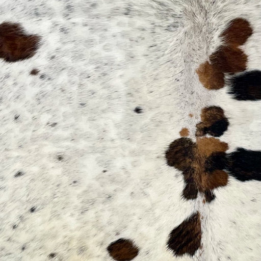 Closeup of this Tricolor, Speckled, Colombian Cowhide, showing a mix of white and off-white, with cloudy, black and brown speckles, and a few black and brown spots (COSP2389)