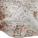 Closeup of this White and Brown, Speckled, Colombian Cowhide, showing two brand marks on the right side of the butt (COSP2510)