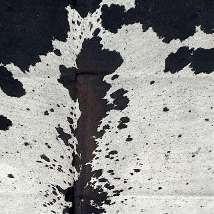 Closeup of this Speckled Colombian Cowhide, showing off-white with black speckles and spots, and blackish brown down part of the spine (COSP2931)