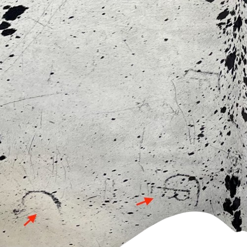 Closeup of this Off-White and Black Speckled Colombian Cowhide, showing two brand marks on the left side of the butt (COSP2931)