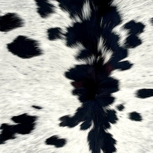 Closeup of this Speckled Colombian Cowhide, showing off-white with black speckles and spots (COSP3154)