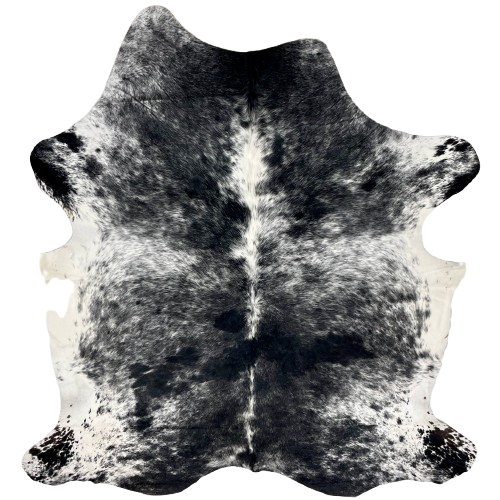 Black and White Speckled Colombian Cowhide: black with white speckles and spots, and mostly solid white on the belly - 7'1" x 5'5" (COSP3186)