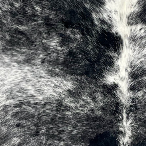 Closeup of this Speckled Colombian Cowhide, showing black with white speckles and spots (COSP3186)