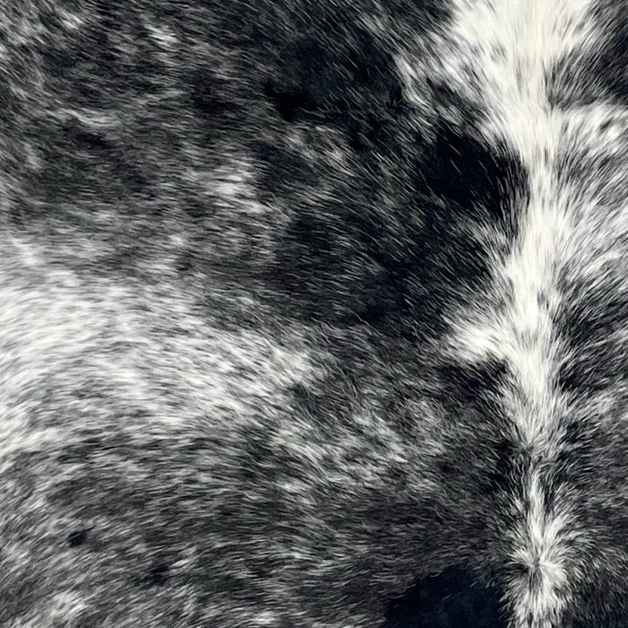 Closeup of this Speckled Colombian Cowhide, showing black with white speckles and spots (COSP3186)