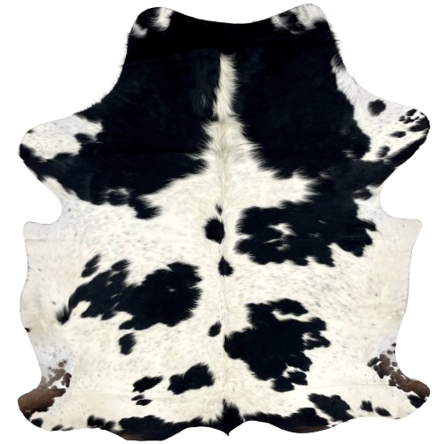 White and Black Speckled Colombian Cowhide: white with large and small, black spots, and faint, black speckles, and a few brown spots on the hind shanks - 6'9" x 5'7" (COSP3187)