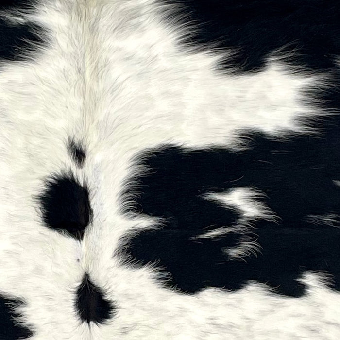 Closeup of this Speckled Colombian Cowhide, showing white with large and small, black spots, and faint, black speckles (COSP3187)