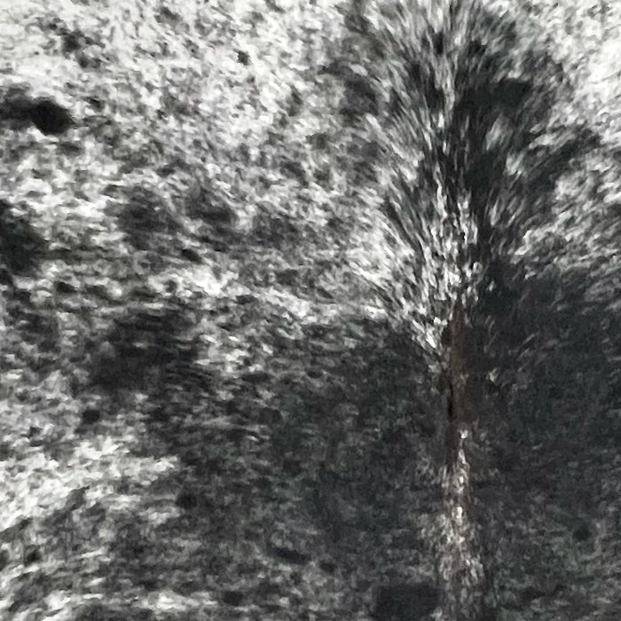 Closeup of this Large Speckled Colombian Cowhide, showing white with black speckles and spots (COSP3345)
