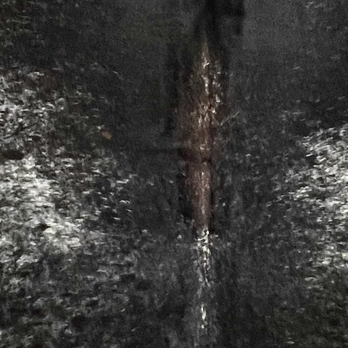 Closeup of this Large Speckled Colombian Cowhide, showing black with white speckles and spots, and dark brown down part of the spine (COSP3346)