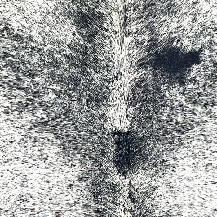 Closeup of this Large Speckled Colombian Cowhide, showing white with black speckles and spots (COSP3348)