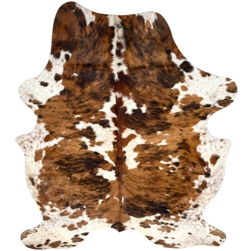 Large Colombian Tricolor Cowhide: white with brown and black, speckles and spots, and large and small spots that have a brown and black, brindle pattern - 7'11" x 5'6" (COSP3351)