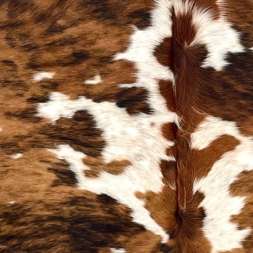Closeup of this Large Colombian Tricolor Cowhide, showing white with brown and black, speckles and spots, and large and small spots that have a brown and black, brindle pattern (COSP3351)