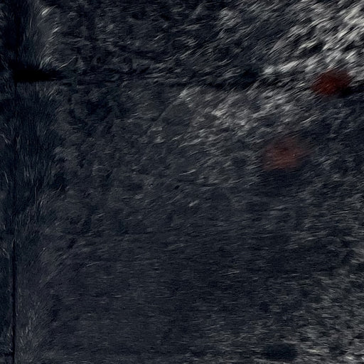 Closeup of this Large Speckled Colombian Cowhide, showing black with white speckles and spots, and two small, dark brown spots (COSP3353)