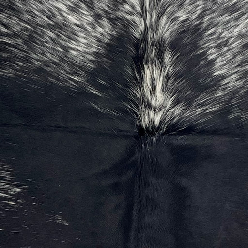Closeup of this Speckled Colombian Cowhide, showing black down the middle of the back, and black and white speckles on the shoulder (COSP3550)