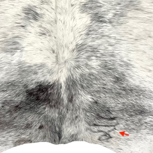 Closeup of this Black and White Speckled Colombian Cowhide, showing one brand mark on the right side of the butt  (COSP3551)
