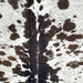 Closeup of this Speckled Colombian Cowhide, showing white with chocolate and dark chocolate speckles and spots  (COSP3552)