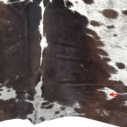 Closeup of this Chocolate and White Speckled Colombian Cowhide, showing  one brand mark on the right side of the butt  (COSP3552)