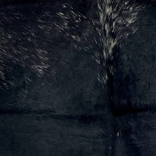 Closeup of this Speckled Colombian Cowhide, showing mostly solid black with white speckles on the shoulder  (COSP3553)