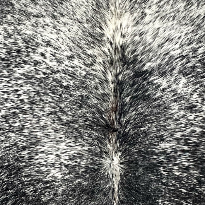 Closeup of this Speckled Colombian Cowhide, showing white with black speckles and spots, and a splash of brown and longer hair on the spine (COSP3555)