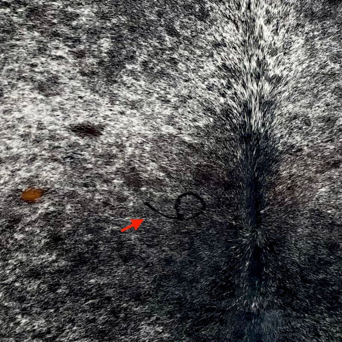 Closeup of this Speckled Colombian Cowhide, showing white with black speckles and spots, and one brand mark on the left side of the back (COSP3557)