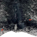Closeup of this Black and White Speckled Colombian Cowhide, showing two brand marks on the butt (COSP3557)