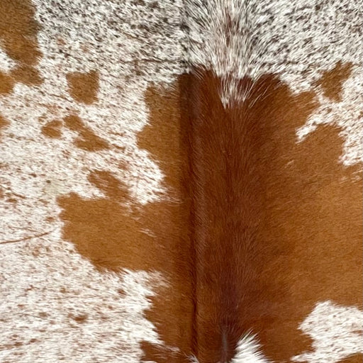 closeup of this Tricolor Speckled Colombian Cowhide, showing white with brown and blackish brown speckles and spots (COSP3562)