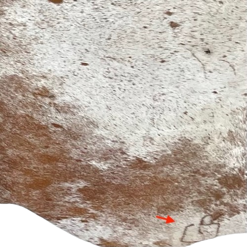 closeup of this Brown and Off-White Speckled Brazilian Cowhide, showing one brand mark on the right side of the butt  (COSP3564)