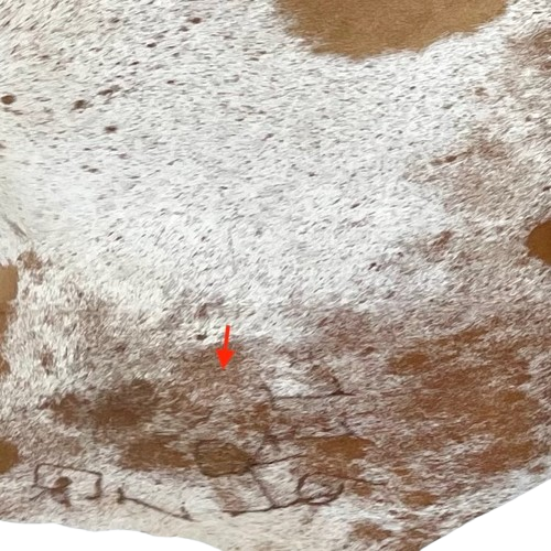 closeup of this Brown and Off-White Speckled Brazilian Cowhide a cluster of brand marks on the left side of the butt  (COSP3564)