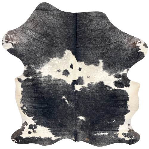 Black and Ivory Speckled Colombian Cowhide: black with fine, ivory speckles, ivory spots that have black speckles and spots, and ivory on the belly - 6'7" x 5'1" (COSP3566)