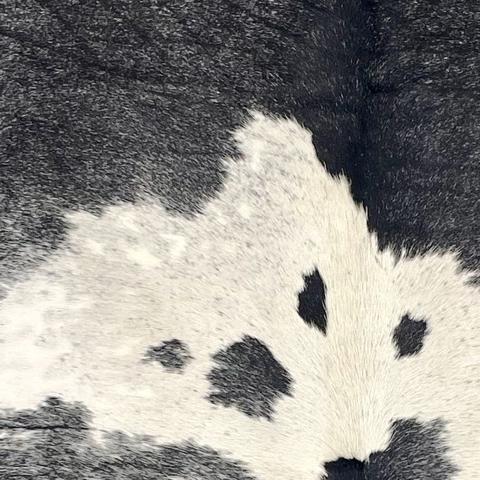 closeup of this Speckled Colombian Cowhide, showing black with fine, ivory speckles, and ivory spots that have black speckles and spots (COSP3566)