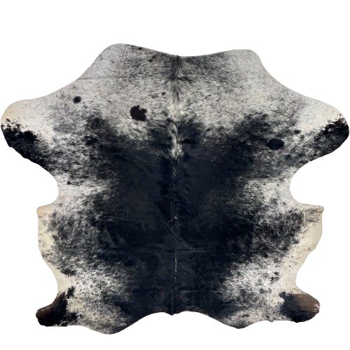 Black and White Speckled Colombian Cowhide: black with fine, white speckles down the middle, and white with black speckles and spots on the belly, shoulder and shanks - 6'10" x 5'8" (COSP3568)