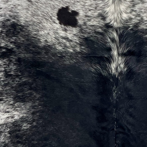 closeup of this Speckled Colombian Cowhide, showing black with fine, white speckles down the middle, and white with black speckles and spots on the belly and shoulder (COSP3568)