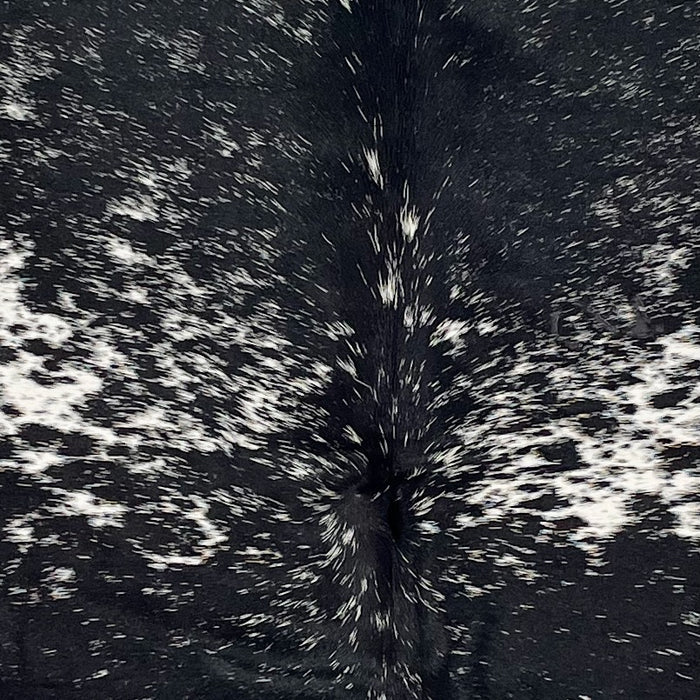 closeup of this Colombian Speckled Cowhide, showing white with black speckles and spots, and large, black spots with white speckles (COSP3569)