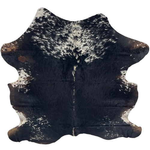 Black and White Colombian Cowhide: black, with white speckles down the spine, on the butt, shoulder and shanks, and splashes of brown on the shanks - 6'6" x 5'3" (COSP3570)