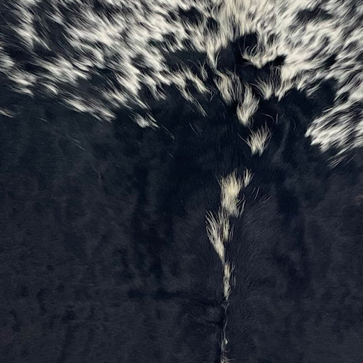 closeup of this Colombian Cowhide, showing black, with white speckles down the spine and on the shoulder (COSP3570)