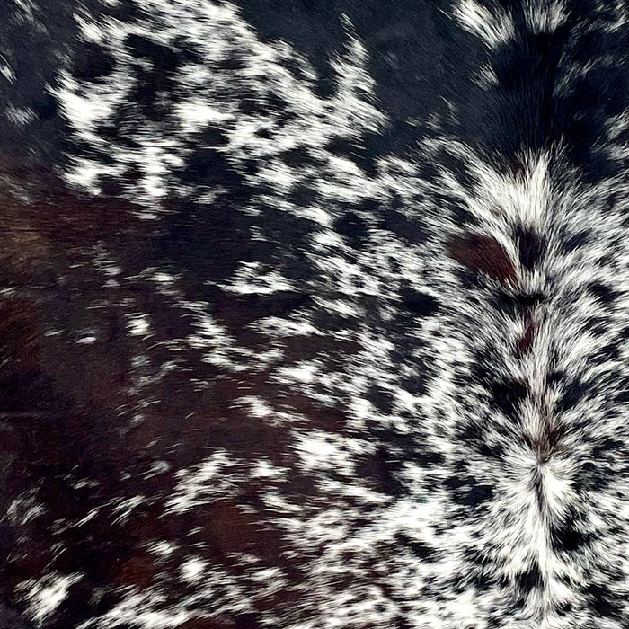 closeup of this Tricolor Speckled Colombian Cowhide, showing white with black and dark brown speckles and spots (COSP3571)