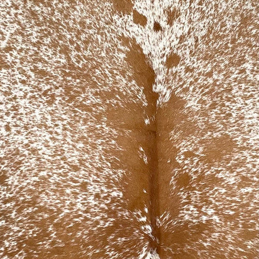 closeup of this Speckled Colombian Cowhide, showing white with brown speckles and spots (COSP3572)