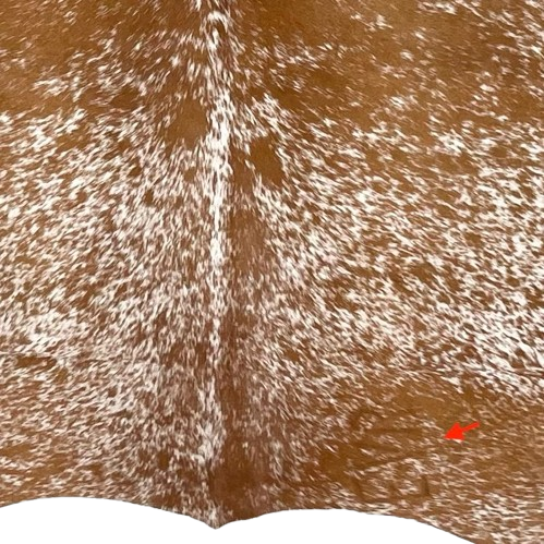 closeup of this Brown and White Speckled Colombian Cowhide, showing one brand mark on the right side of the butt (COSP3572)