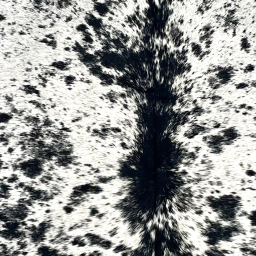 closeup of this Speckled Colombian Cowhide, showing white with black speckles and spots (COSP3573)